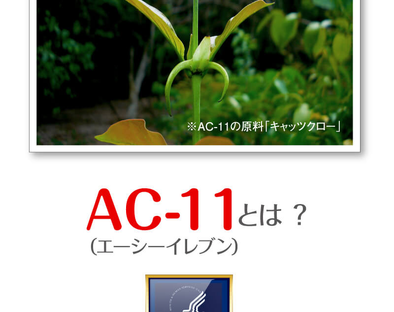 お客様の喜びの声
