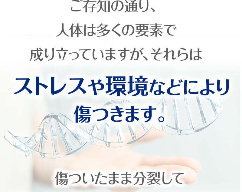 お客様の喜びの声