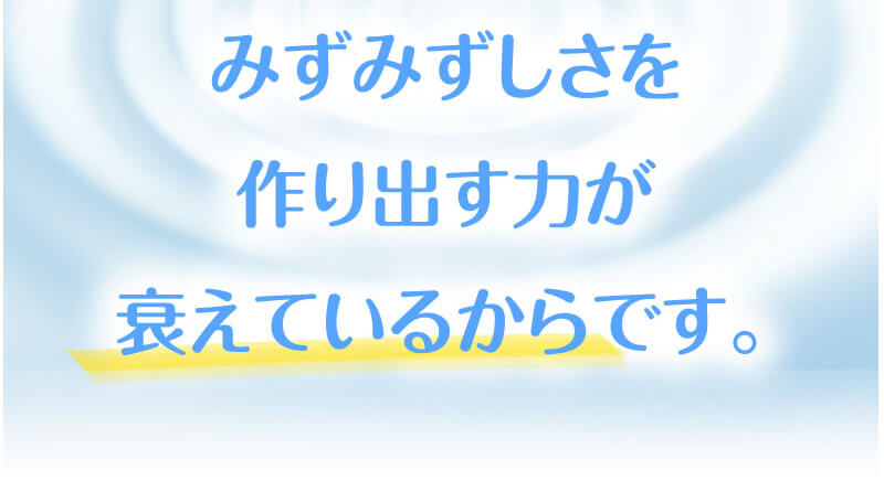 お客様の喜びの声